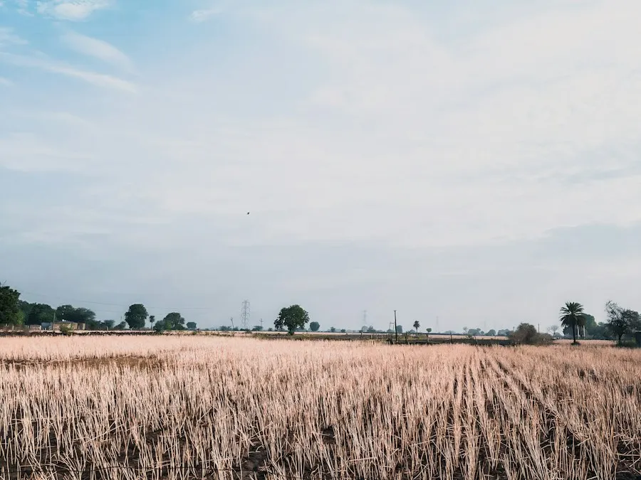 Illustrative land landscape, not the listed property